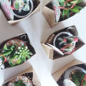 Low Budget Gifts